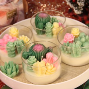 Wholesale Flower Shaped Succulent Plants Cactus Scented Candle Luxury Candle Gift Handmade Wedding Birthday Aromatherapy 