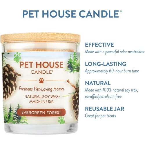 Hot Sale Specialty Pet Products Scent Branding Smoke Odor Control Pet Organic Soy Candles