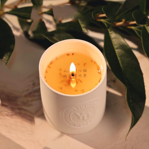 Home Decor High Quality Ceramic Candle Jars Soy Wax Scented Candle With Packing