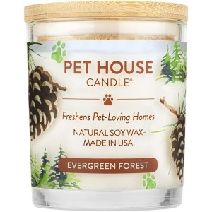 Hot Sale Specialty Pet Products Scent Branding Smoke Odor Control Pet Organic Soy Candles 